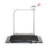 BASCULA DIGITAL DE PLATAFORMA 360KG DIV 100G TARA – BM676