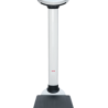 BASCULA MECANICA DE COLUMNA CON INDICADOR BMI 160 KG CON ESTADIMETRO
