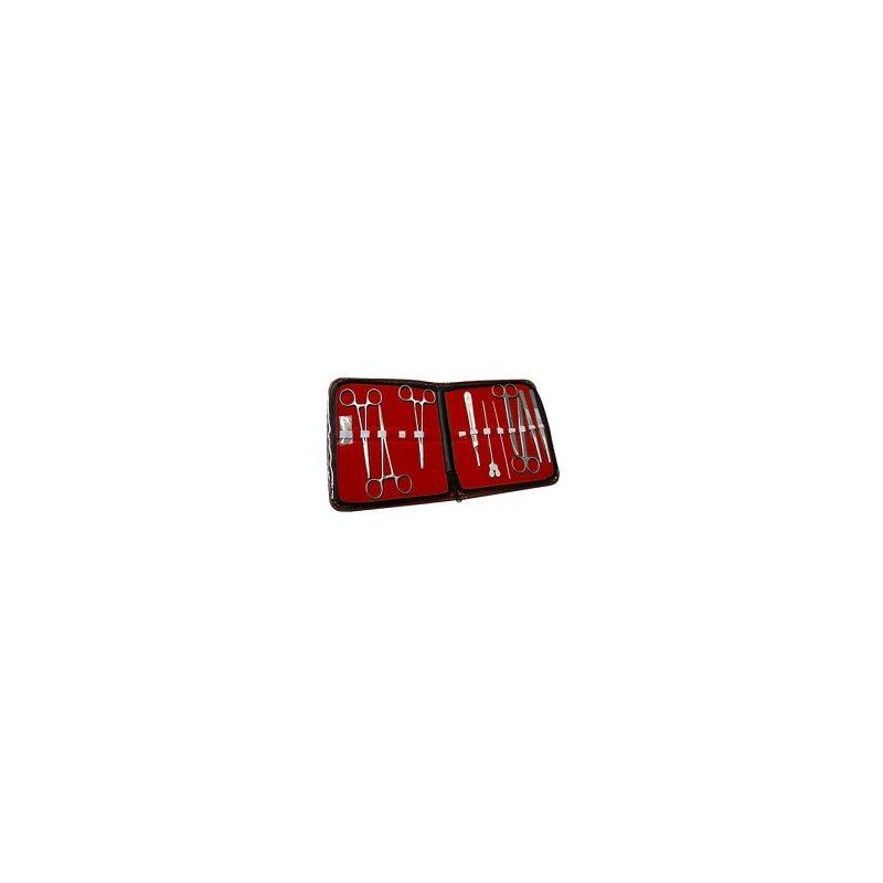 ESTUCHE DE DISECCION 11 PZAS ECONOM