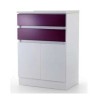 GABINETE MICHEL CON CENEFA – GBMCCN