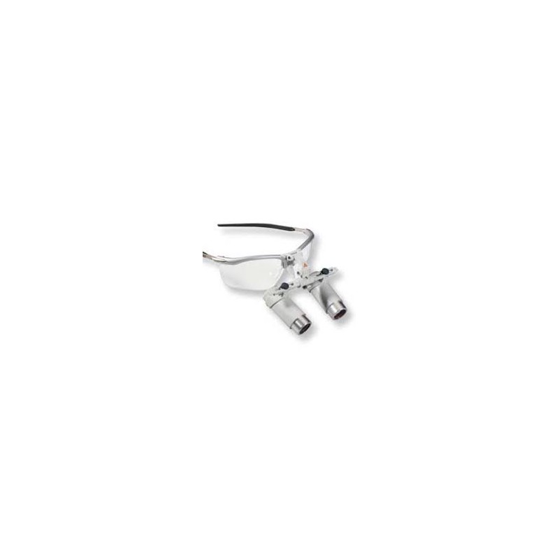 JUEGO COMPLEMENTARIO 3S LED/ML4 CON LUPAS HR 2.5X/420 MM HEINE – J-000.31.371